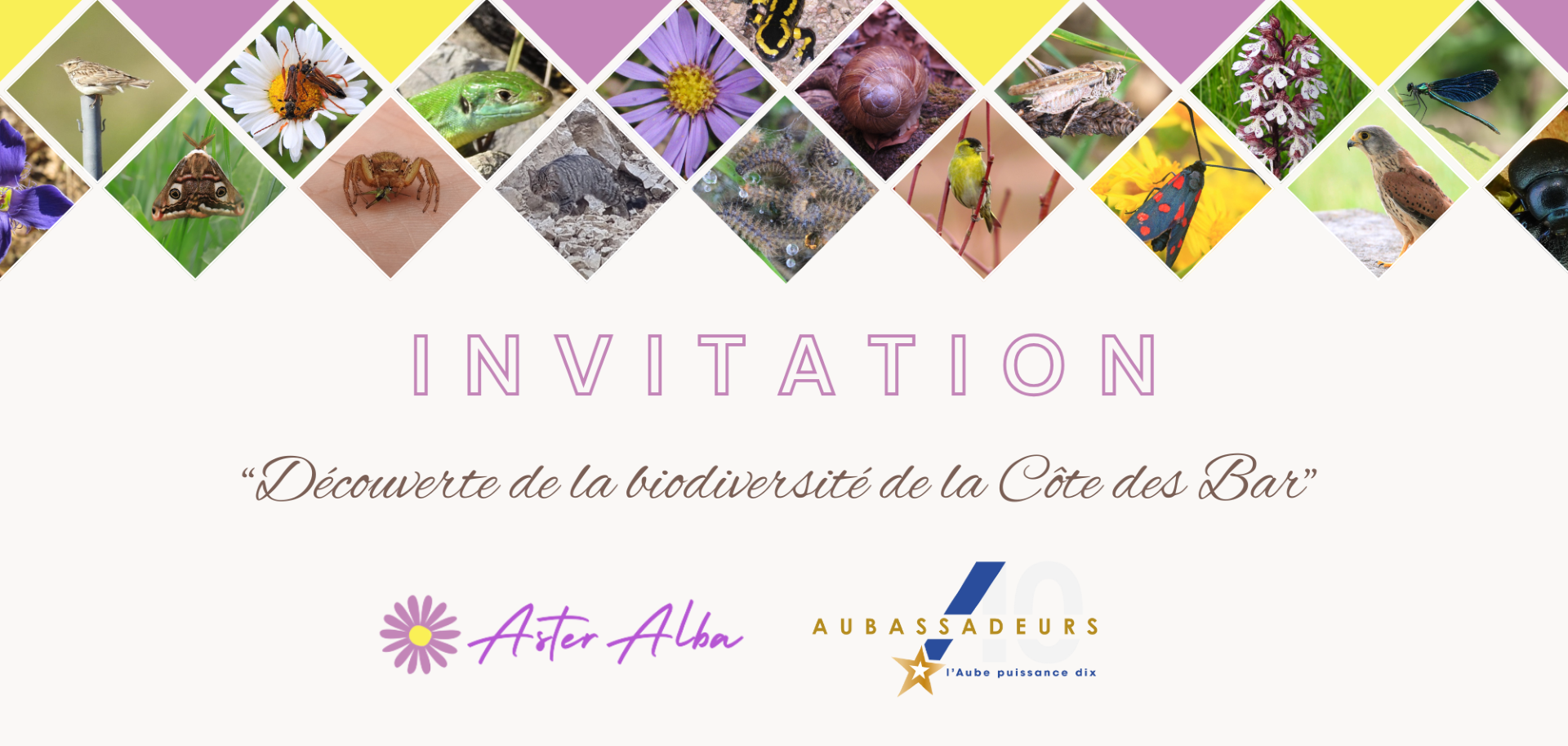 Soirée ASTER ALBA au Centre culturel Marcel Hurillon de Bar-sur-Seine