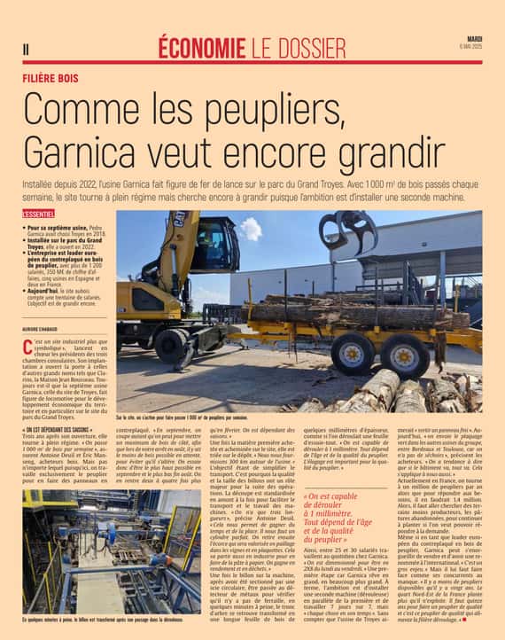 Comme les peupliers, l’entreprise Garnica veut encore grandir