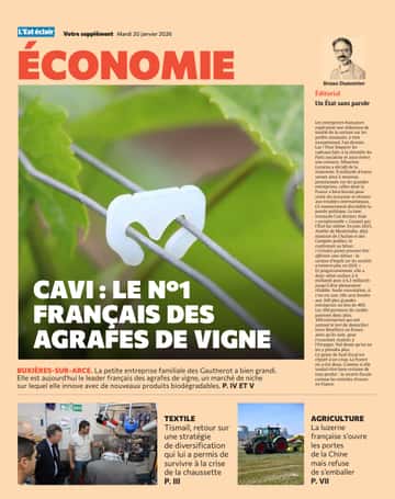 Cavi : N°1 Français des agrafes de vignes