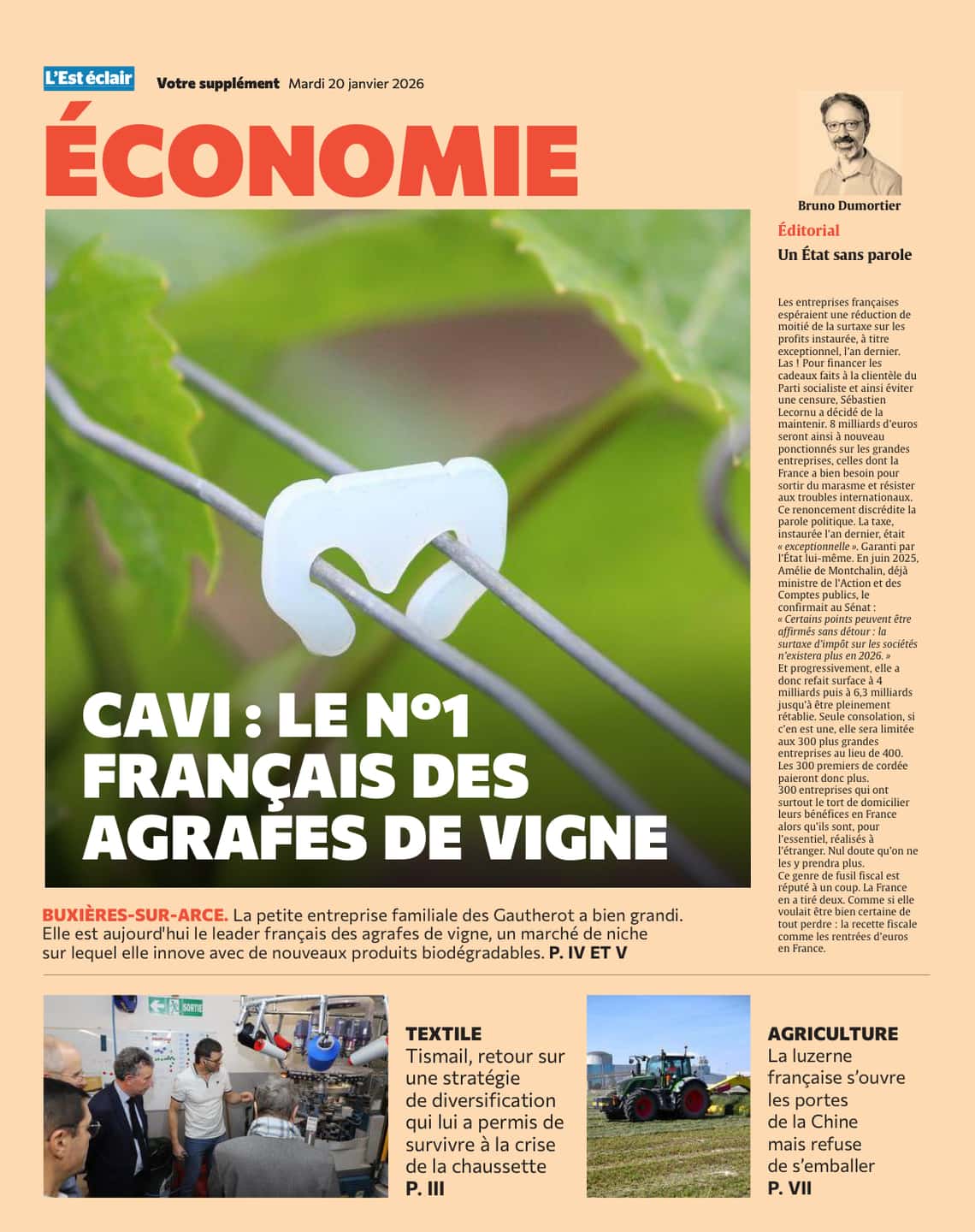Cavi : N°1 Français des agrafes de vignes