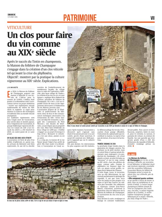 Un clos pour faire du vin comme au XIXe siècle.