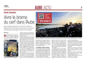 Vivre le brame du cerf dans l’Aube !