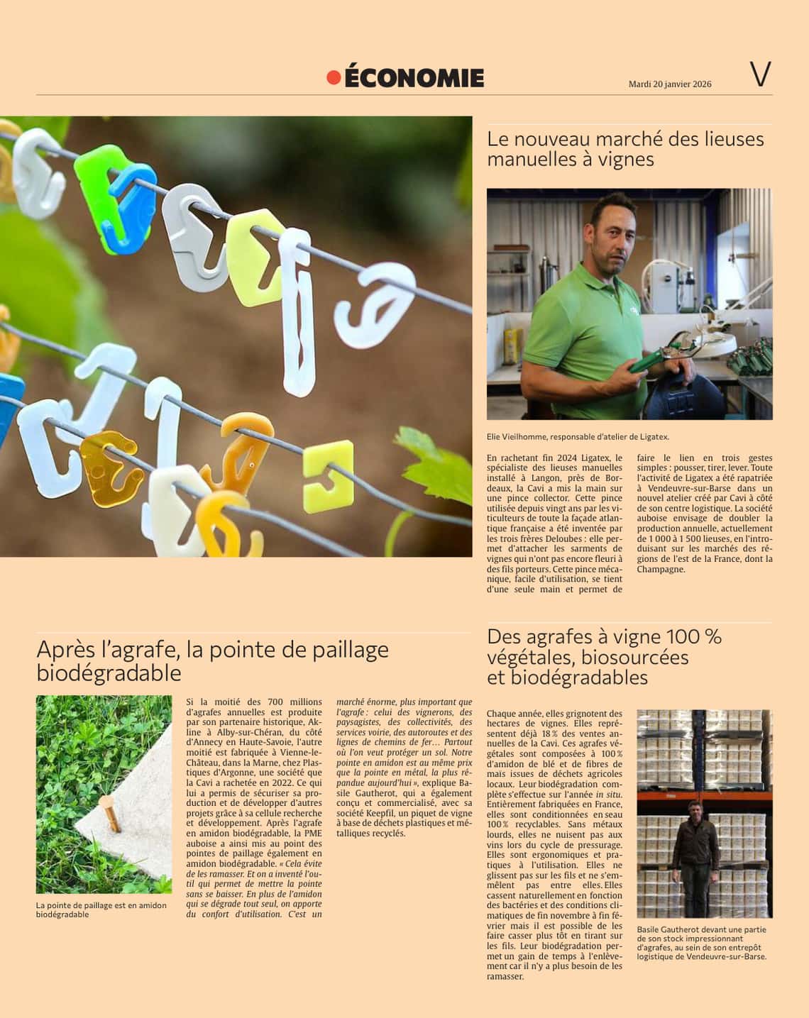 Cavi : N°1 Français des agrafes de vignes