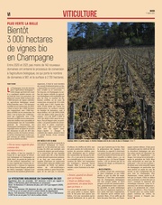 Bientôt 3000 hectares de vignes bio en Champagne.