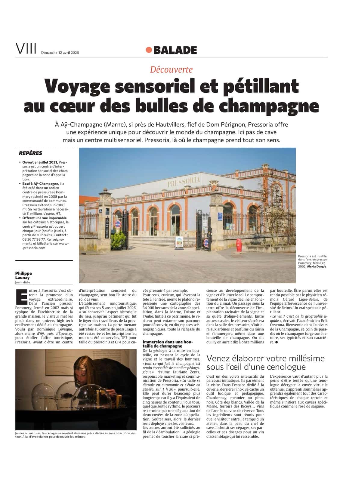 Voyage sensoriel et pétillant au coeur des bulles de champagne