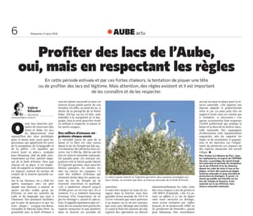 Lacs de l’Aube : baignade, navigation, pêche… on fait le point sur les règles