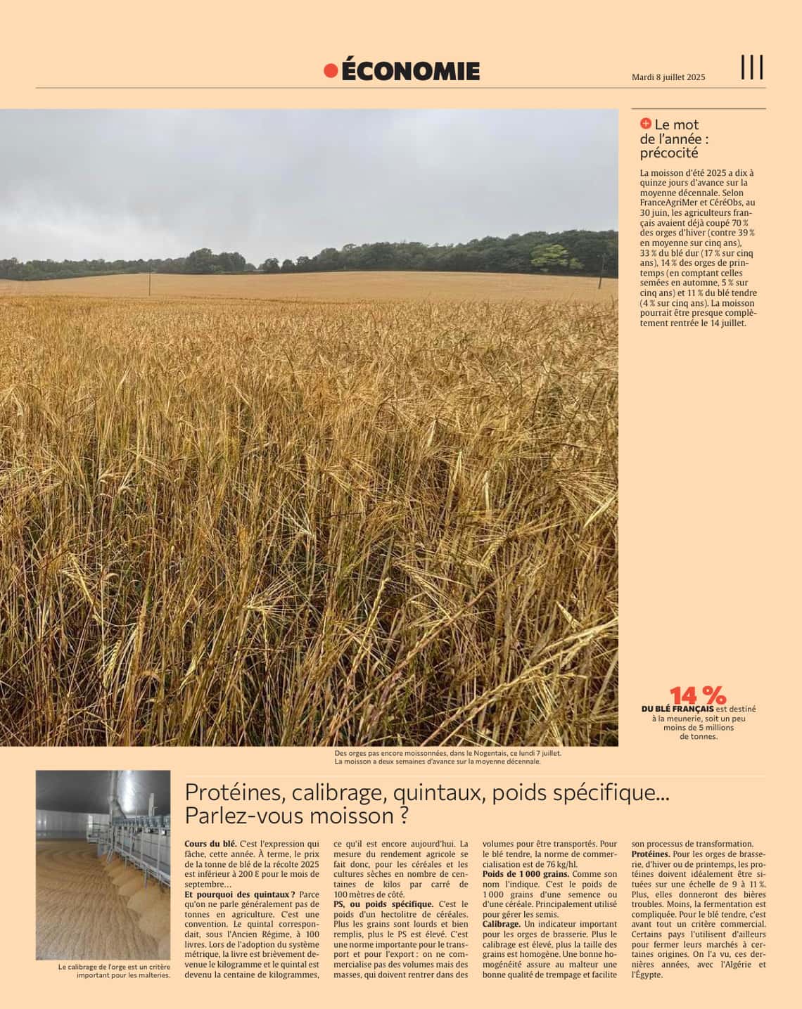Moissons : l’Aube rentre ses grains avec deux semaines d’avance