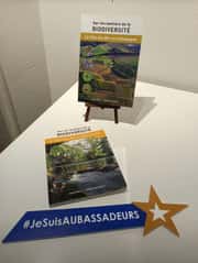 Et toi quelle est ta photo avec l'étoile Aubassadeurs  en 2025 ?