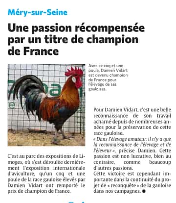 Un coq et une poule de l’Aube récompensés par un titre de champion de France
