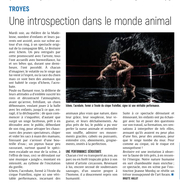 La Madeleine : Une introspection dans le monde animal.