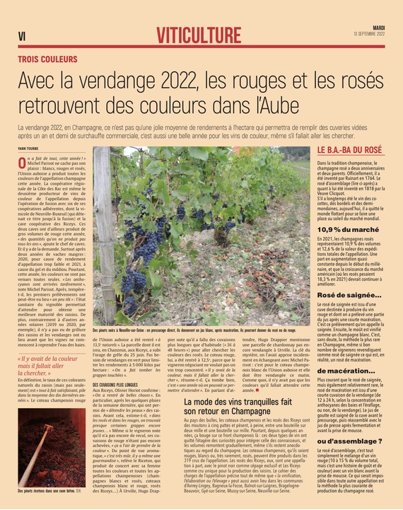 Avec les vendanges 2022, les rouges et les rosés retrouvent des couleurs ...