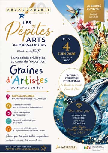 Soirée Pépites Arts visuels et vivants au coeur de l'exposition à Argence.
