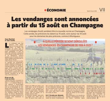 Les vendanges sont annoncées à partir du 15 août en Champagne