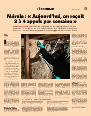 Mérule : « Aujourd’hui, on reçoit 3 à 4 appels par semaine »