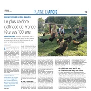 Méry-sur-Seine : le plus célèbre gallinacé de France fête ses 100 ans