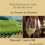 Dégustation de vins de Bourgogne au Domaine de Nuisement