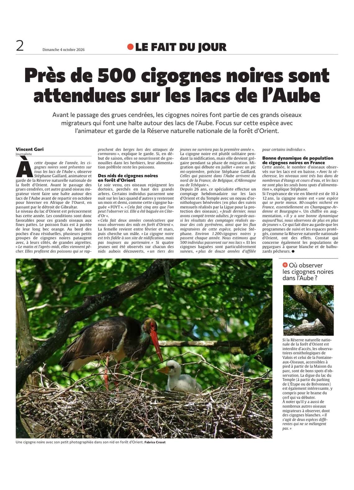 Près de 500 cigognes noires sont attendues sur les lacs de PAube