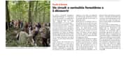 Un circuit « curiosités forestières » à découvrir