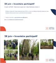 Inventaire participatif au Château de Ricey-Bas avec Destination Nature