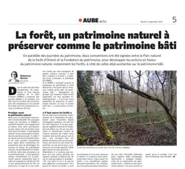 La forêt, un patrimoine naturel à préserver autant que le patrimoine bâti