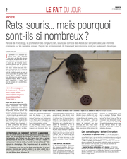 Rats, souris .... mais pourquoi sont-ils si nombreux ?