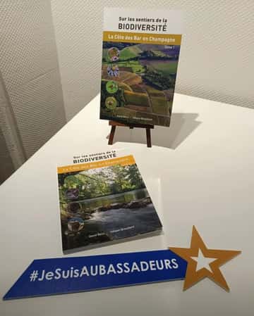 Et toi quelle est ta photo avec l'étoile Aubassadeurs en 2025 ?