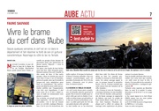 Vivre le brame du cerf dans l’Aube !