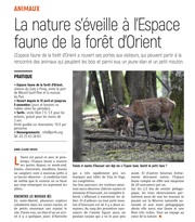 La nature s’éveille à l’Espace faune de la forêt d’Orient.