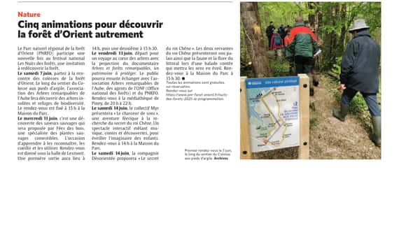 Cinq animations pour découvrir la forêt d’Orient autrement