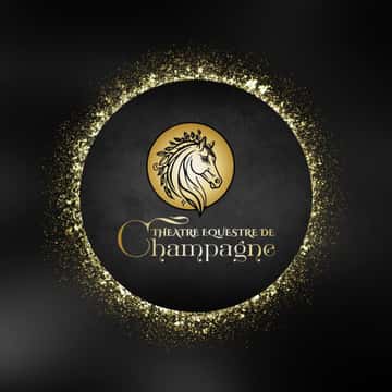 Spectacles de Noël et cartes-cadeaux : Une saison magique avec le th