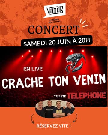Concert Crache ton venin chez nos Aubassadeurs de V and B