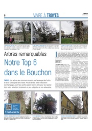 Notre top 6 des arbres remarquables dans le centre-ville de Troyes