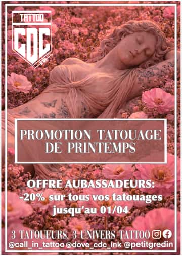 Nos Pépites de CDC Ink nous proposent une offre spéciale Aubassadeurs