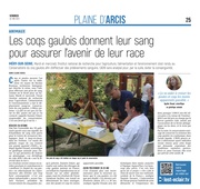 Les coqs gaulois donnent leur sang pour assurer l’avenir de leur race.