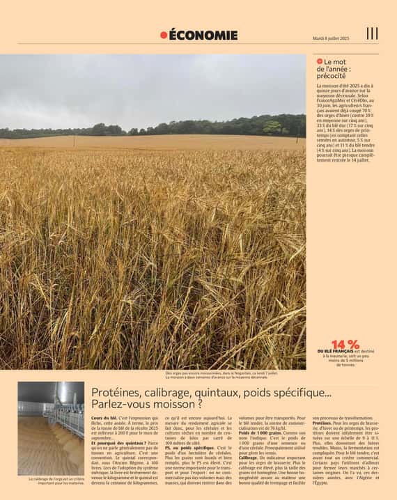 Moissons : l’Aube rentre ses grains avec deux semaines d’avance