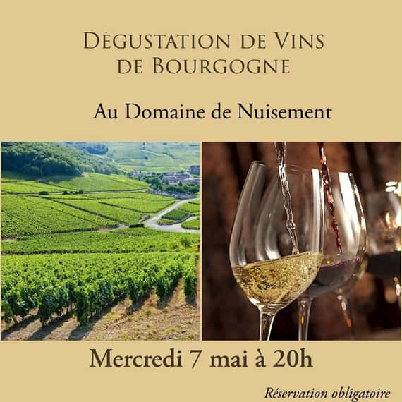 Dégustation de vins de Bourgogne au Domaine de Nuisement