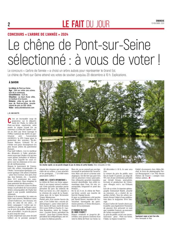 Le chêne de Pont-sur-Seine sélectionné : dernière semaine pour voter !