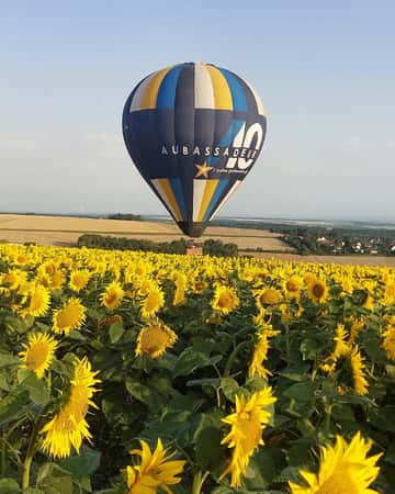 La tête tournée vers le soleil !