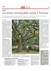 Les Arbres remarquables de l’Aube font parler d’eux