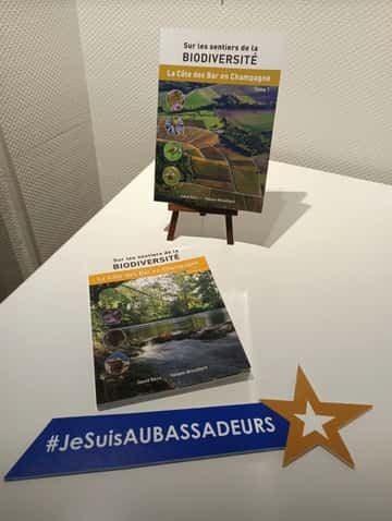 Et toi quelle est ta photo avec l'étoile Aubassadeurs  en 2025 ?
