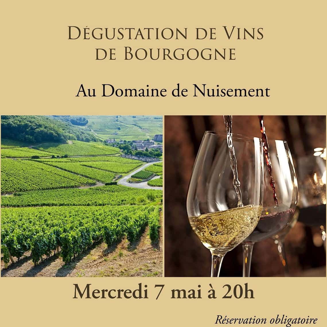 Dégustation de vins de Bourgogne au Domaine de Nuisement