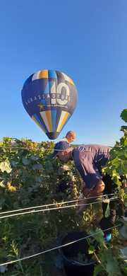 Notre montgolfière au dessus des vignes de Montgueux.