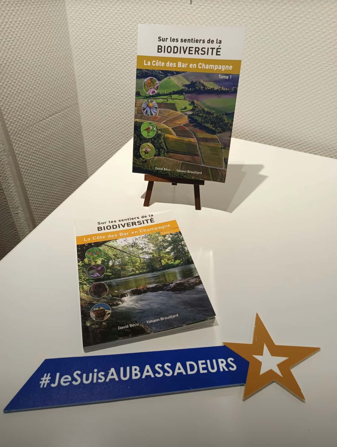 Et toi quelle est ta photo avec l'étoile Aubassadeurs en 2025 ?