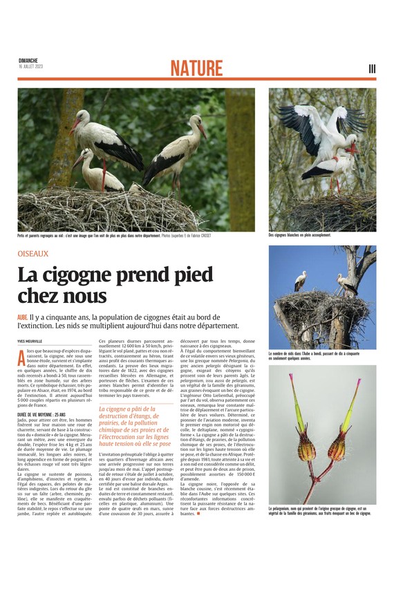 La cigogne prend pied dans l’Aube !