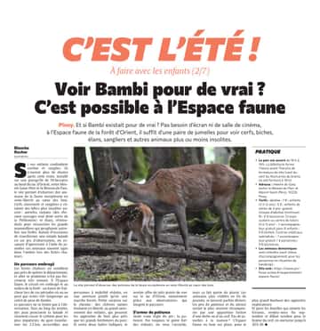 Voir Bambi pour de vrai, c'est possible à l'Espace Faune du PNRFO