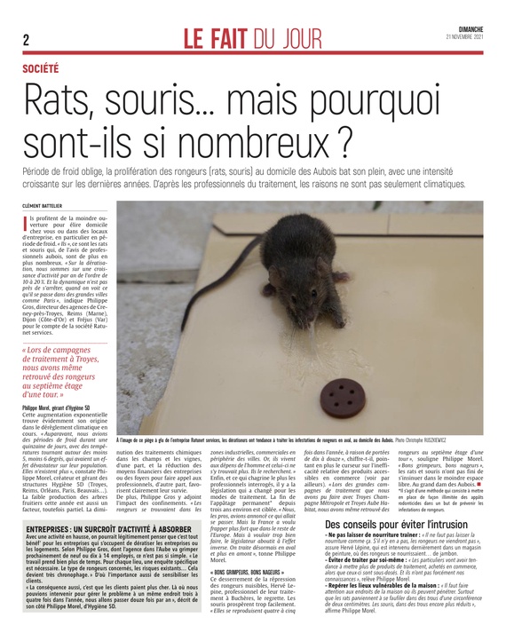 Rats, souris .... mais pourquoi sont-ils si nombreux ?