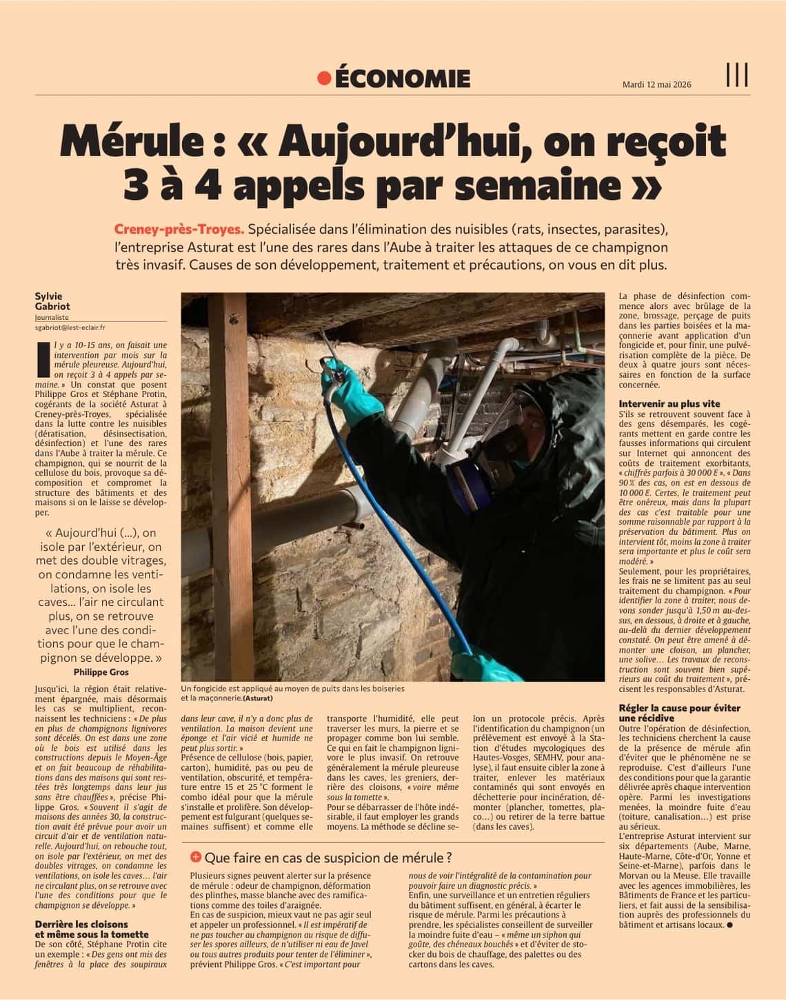 Mérule : « Aujourd’hui, on reçoit 3 à 4 appels par semaine »
