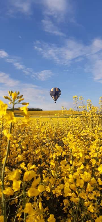 Avec le soleil, premiers vols pour notre montgolfière !