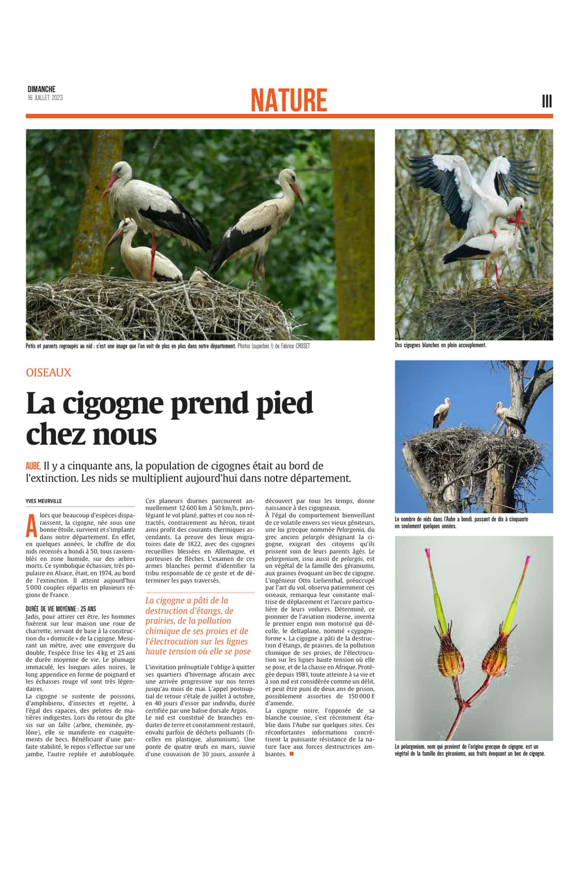 La cigogne prend pied dans l’Aube !