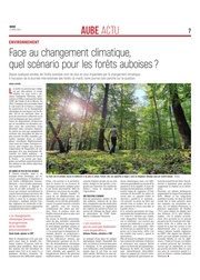 Les forêts auboises sous la menace du changement climatique